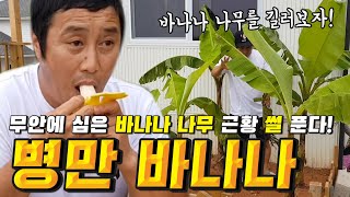 김병만이 바나나를 키우면?