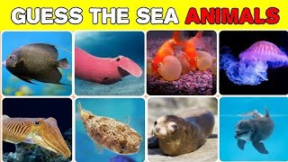 Guess The Sea Animals 🐬🐋🐡 | Guess The Sea Animals in 5 Seconds