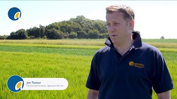 Agrovista: Project Lamport