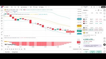 The Most Accurate Next Candle Predictor 🔥 | Pine Script Explained (Live Results)