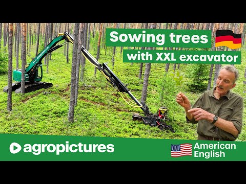 XXL Excavator Sowing new Trees ⚙️🌲🌳 IMPEX Milling Technology for Climate Resilient Mixed Forests
