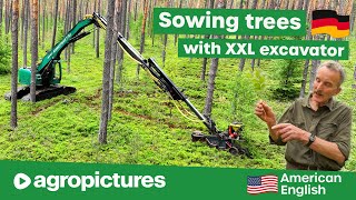 XXL Excavator Sowing new Trees ⚙️🌲🌳 IMPEX Milling Technology for Climate Resilient Mixed Forests