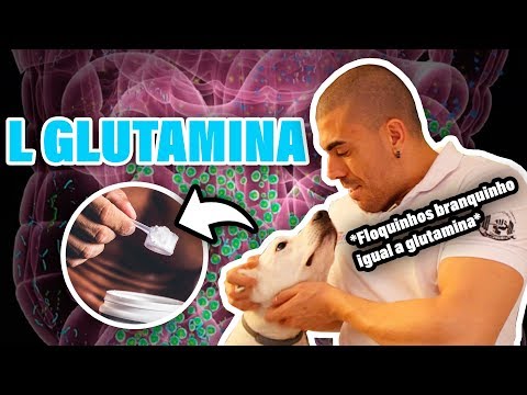 Tudo sobre L Glutamina