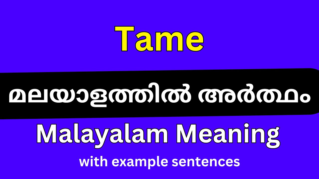 Tame Meaning In Malayalam Tame YouTube tame-meaning-in-malayalam-tame-youtube