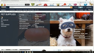 Tactical Arbitrage Reverse Search How To