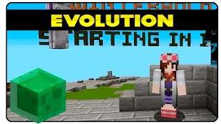 Evolution Minecraft Minijuego