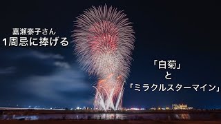 強力浄化】高品質！菊花水晶クラスター⭐花いっぱい⭐N109 透明度抜群
