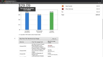 AWS Free Tier Usage Tracking and Billing Widget
