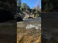 Relaxing River Sounds 🌊 Nature Ambience | Chile