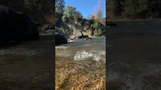 Relaxing River Sounds 🌊 Nature Ambience | Chile