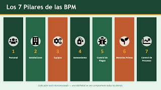 Buenas Prácticas de Manufactura (BPM) | Capacitación Completa en Español
