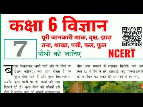 वीडियो: फ़िकस (73 तस्वीरें): यह क्या है? एक इनडोर फूल कैसा दिखता है? घर पर पौधे की देखभाल। क्या यह जहरीला है?