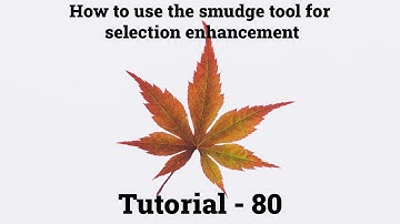 Adobe Photoshop-Tutorial 80(How to use smudge tool in selections)🔥🔥🔥