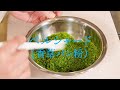 ペルシャード(香草パン粉)【フレンチ】 Persillaed