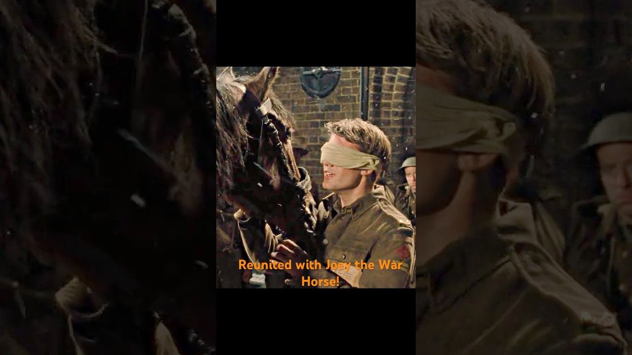 War horse:Reunited with Joey the War Horse!#film #shorts #shortvideo #series #fouryou