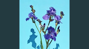 Background for Infinite Winters