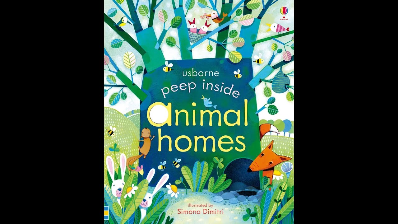 Peep Inside Animal Homes Usborne YouTube
