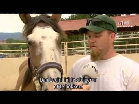 Video: Amerikaans Mustang-paardenras Hypoallergeen, Gezondheid En Levensduur