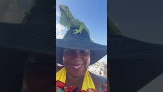 Trying on Iguanas in Cabo San Lucas, MX  ❤️‍🔥💯