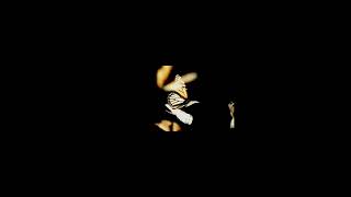pobedia - untitled