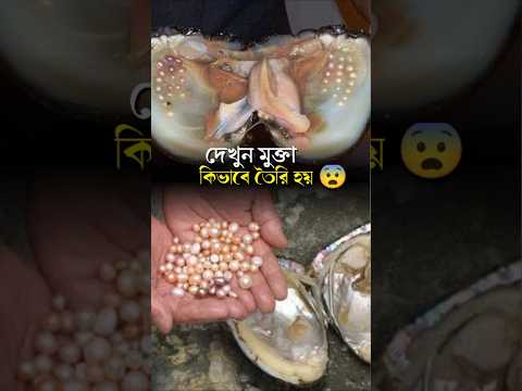 The Secret Behind Artificial Pearls | মুক্তা তৈরির অসাধারণ বিজ্ঞান 🤔Nature + Technology = Beautiful