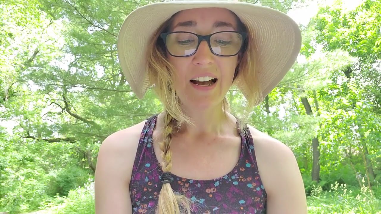 Full Moon Lunar Eclipse in Sagittarius June 2020 Journaling Prompts ...