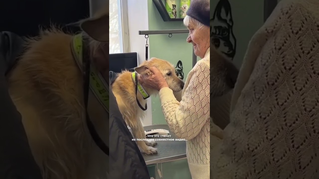 💔Когда снимали это видео, никто не знал, что оно станет последним…