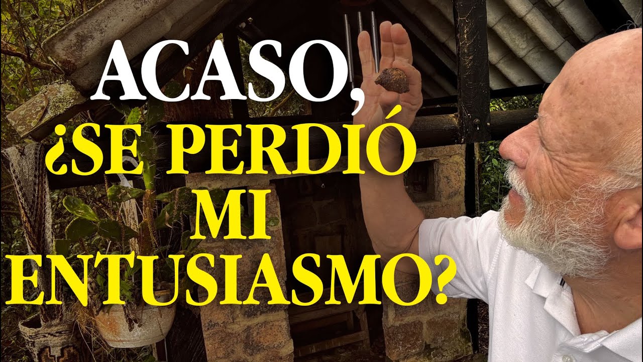 Cuando el alma se cansa: ¿Cómo recuperar esa energía vital?