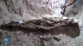 Amazing 17 Mummies Recently Unveiled In Egypts Minya