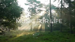 Echoes of Twilight: Una Ballata Sognante | Canzone Originale