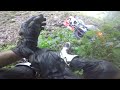 Middle of video