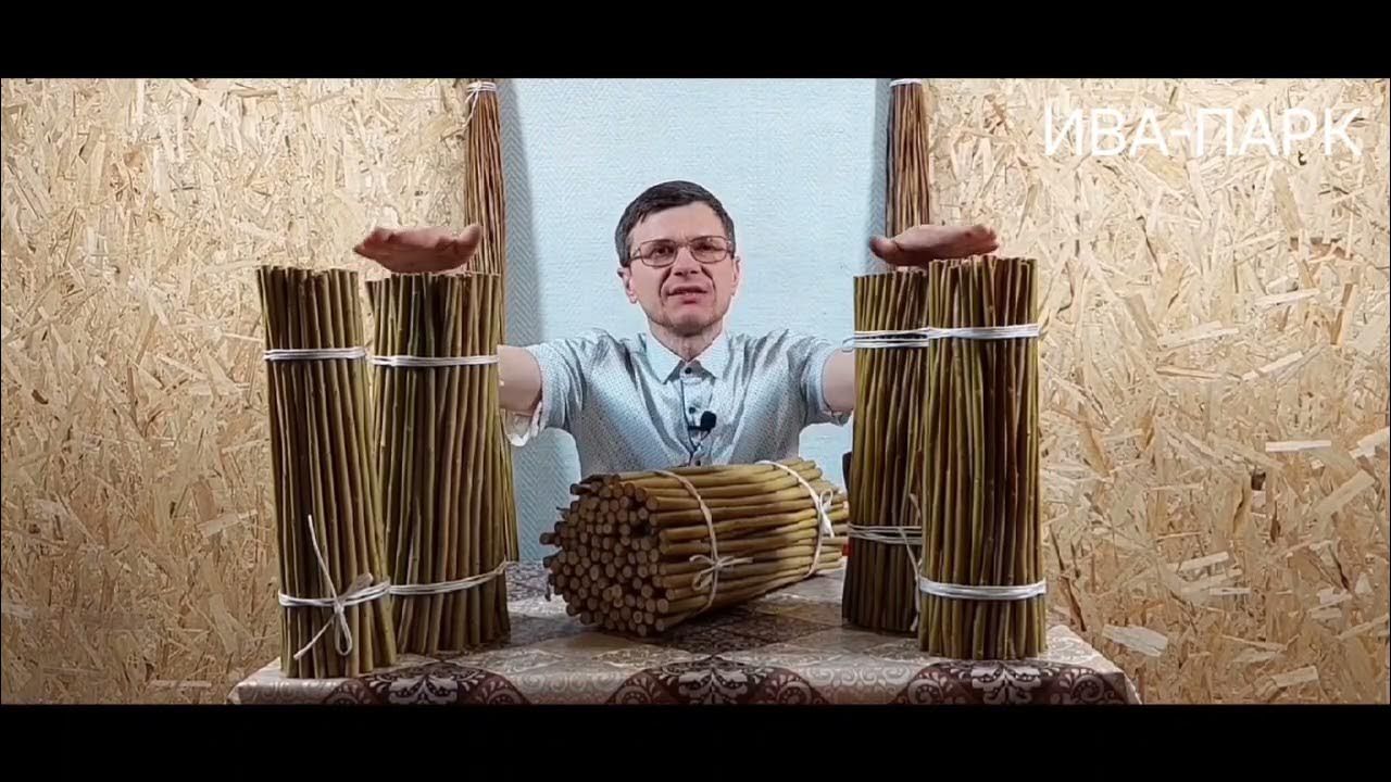 ИВА-ПАРК. Американка гигантская. Разновидности сорта. - YouTube