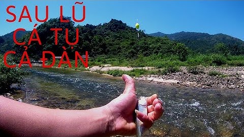 Sau cơn lũ cá mương  vào suối rất nhiều không đi câu thì hơi phí - câu cá suối