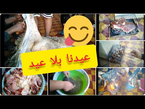 دوزنا نهار واعر فدار عكوزتي دبحنا الحولي وتقاسمت معاكم التفاصيل كاملة