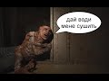STALKER 2 / за Іскру 3 (тест проца)