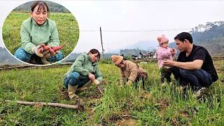 Download Lagu TỂN was very sad to see Thu struggling, so she and Hối helped Thu clear the rice field. MP3
