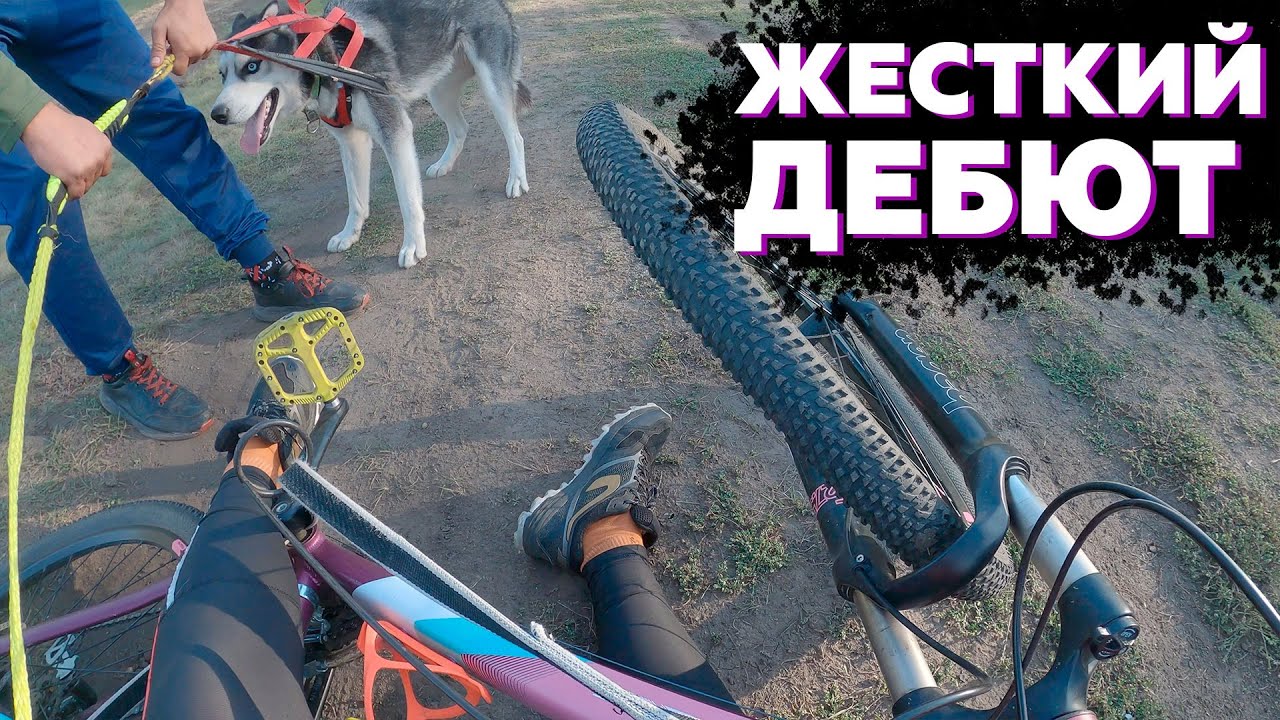 СБИЛИ НА ПЕРВОЙ ГОНКЕ | Так ли легко дается байкджоринг?