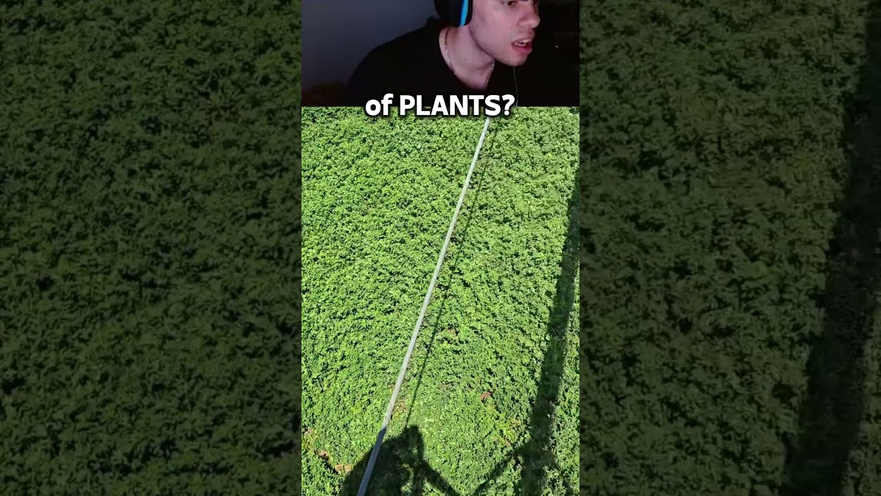 Дантес не мог поверить своим глазам 😯