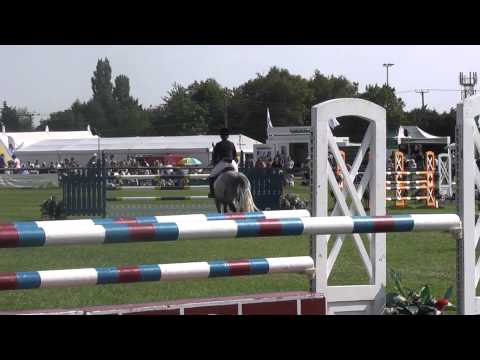 Verazano VDL 1.35m Thame Show 2011