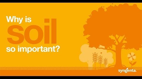 Why is soil so important?