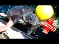 Los 3 Rescates de Tortugas Marinas Mas Emocionantes | Sea Tourtle Rescue