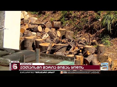 ქუთაისში, აღმაშენებლის ქუჩაზე ხეების გაჩეხვის შემდეგ, სახელმწიფომ ტერიტორია აუქციონზე გაიტანა