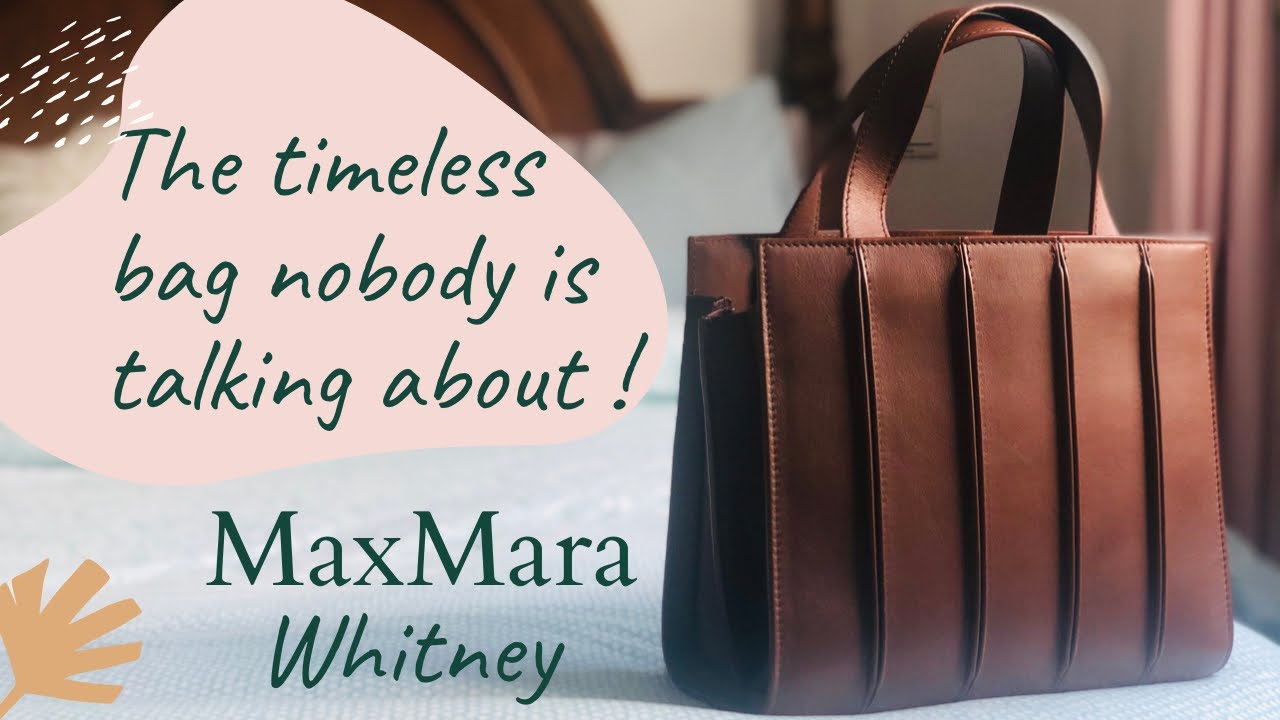 Understated Luxury bag / Max Mara Whitney small bag / mini comparison with  ABC Lady Dior - YouTube
