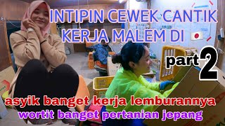 GREBEK CEWEK CANTIK YANG LAGI KERJA MALEM DI JEPANG PART2 #pertanianjepang #magangkejepang