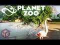 Planet Zoo - Фламинго ОБЫКНОВЕННЫЙ! #3