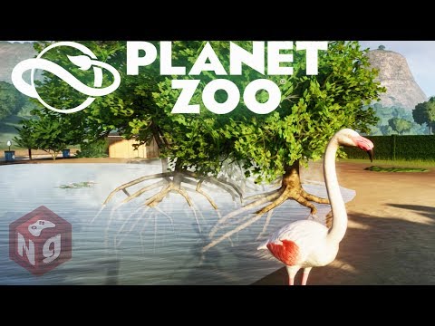 Видео: Planet Zoo - Фламинго ОБЫКНОВЕННЫЙ! #3