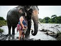 Ancient Elephants: The Rescue That Changed Prehistory Forever