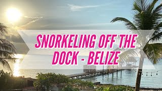 Snorkeling off the dock in San Pedro BELIZE!