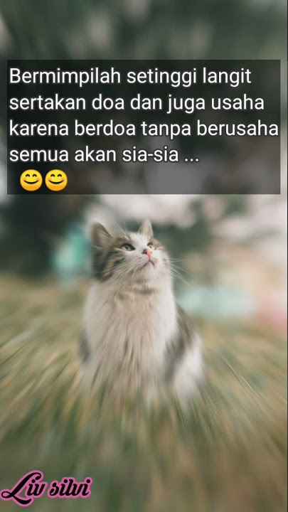 story' Wa pekerja malam 30 detik #Shorts