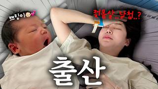출산했어요 (후라이들 조카 등장👶🏻)
